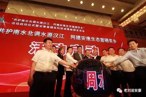 安康富硒茶礼盒（安康富硒茶多少钱一斤）-硒宝网