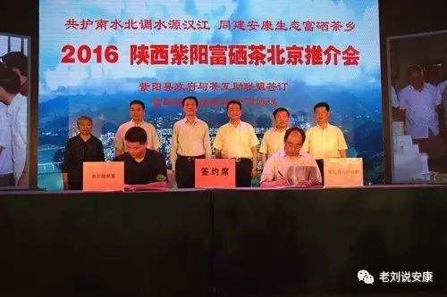 安康富硒茶礼盒（安康富硒茶多少钱一斤）-硒宝网