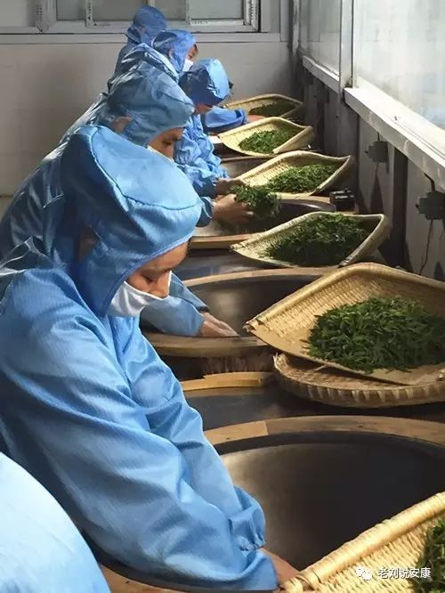 安康富硒茶礼盒（安康富硒茶多少钱一斤）-硒宝网