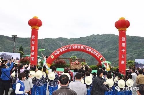 安康富硒茶礼盒（安康富硒茶多少钱一斤）-硒宝网