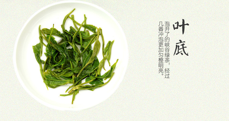 紫阳富硒茶概况(紫阳富硒茶文化)-硒宝网