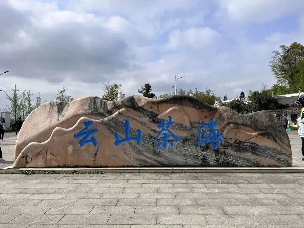 开阳富硒茶特点(富硒茶叶的介绍)-硒宝网