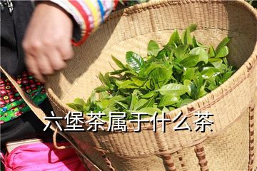 富硒茶加工工序(富硒茶产业)-硒宝网