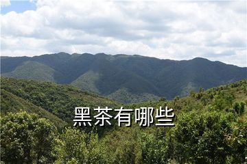 富硒茶加工工序(富硒茶产业)-硒宝网