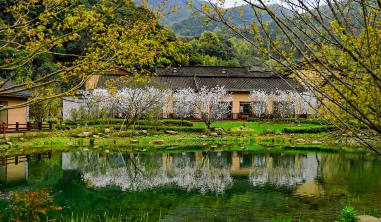 石台富硒茶位于（石台特产富硒茶价格）-硒宝网