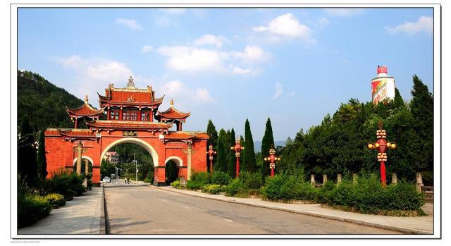 毕节特产富硒茶(贵州毕节的茶叶有哪些品牌)-硒宝网