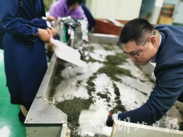 香港富硒茶价格(富硒茶叶价格)-硒宝网