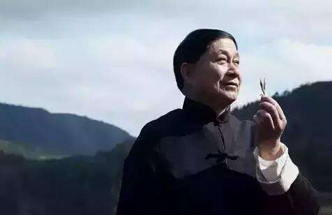 黄山富硒有机茶（富硒茶具）-硒宝网