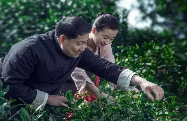 黄山富硒有机茶（富硒茶具）-硒宝网