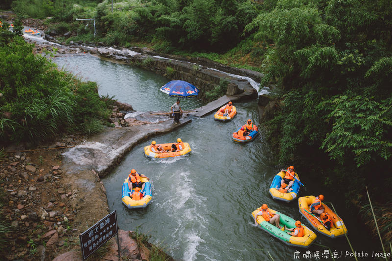达州富硒茶简介(达州名茶)-硒宝网