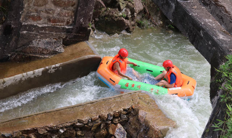 达州富硒茶简介(达州名茶)-硒宝网