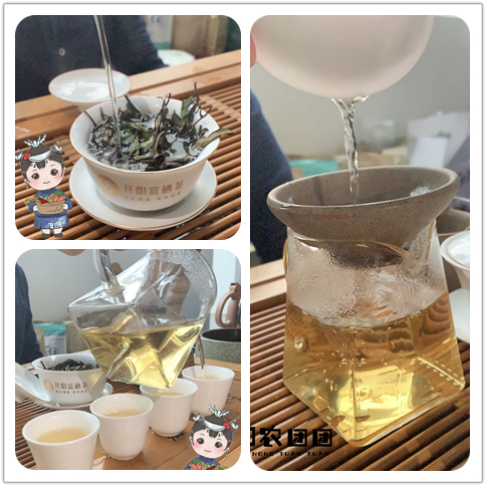 开阳富硒茶功效(开阳富硒茶地理标志)-硒宝网