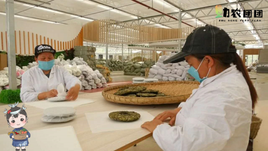 开阳富硒茶功效(开阳富硒茶地理标志)-硒宝网