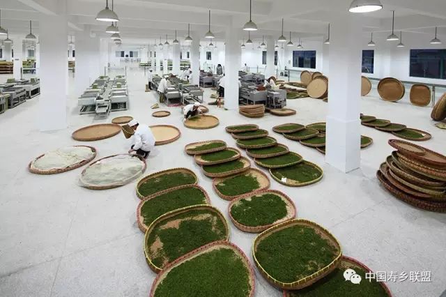 富硒茶特供基地(富硒茶特供基地)-硒宝网