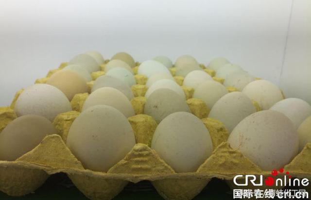 开阳富硒茶功效（开阳富硒茶叶）-硒宝网