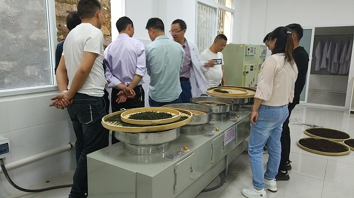 紫阳富硒茶之歌(紫阳富硒茶茶树)-硒宝网