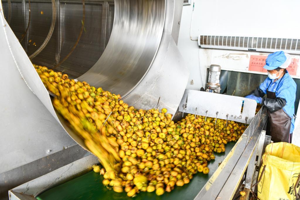 恩施富硒毛峰茶(恩施富硒毛尖茶)-硒宝网