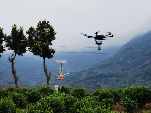 安徽富硒茶啤酒（啤酒安徽茶富硒含量多少）-硒宝网