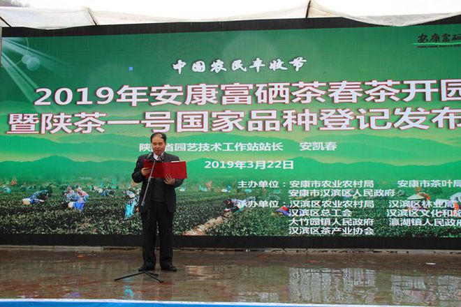 富硒茶产业威胁(威胁茶产业富硒的因素)-硒宝网