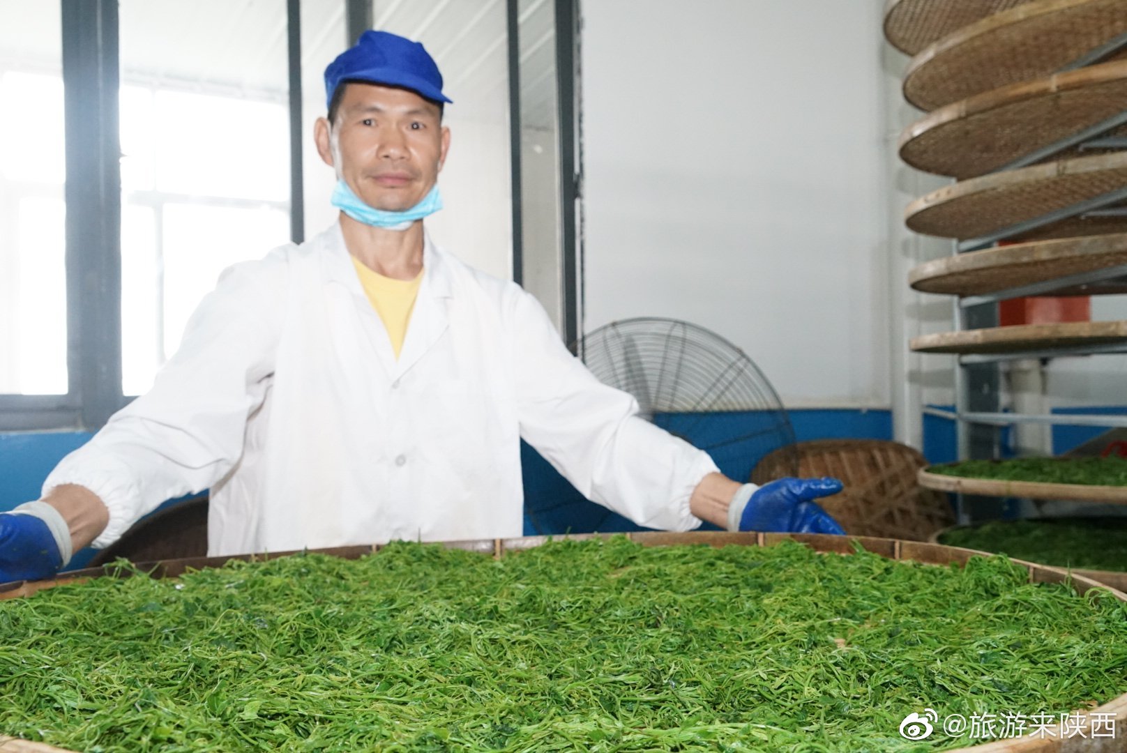 安康富硒茶价值(安康茶价值富硒多少)-硒宝网