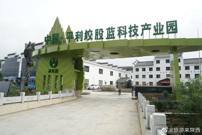 安康富硒茶价值(安康茶价值富硒多少)-硒宝网