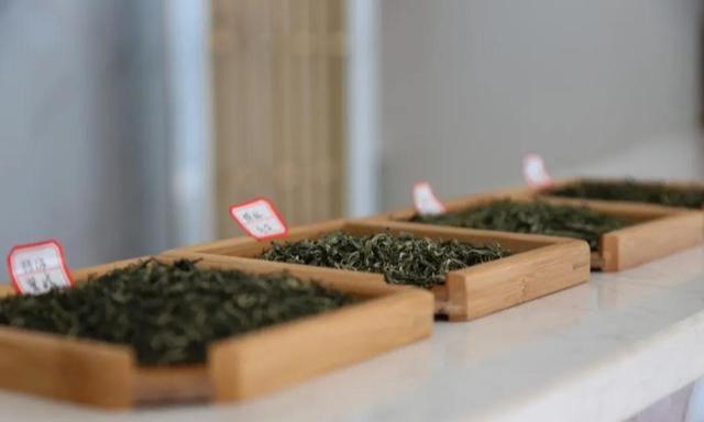 紫阳富硒茶评价(紫阳富硒茶品牌价值)-硒宝网