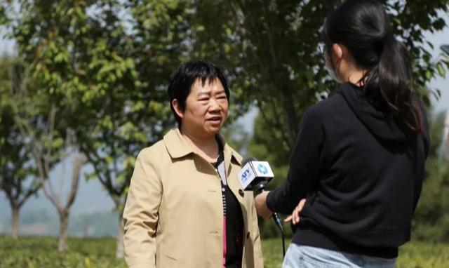 紫阳富硒茶评价(紫阳富硒茶品牌价值)-硒宝网