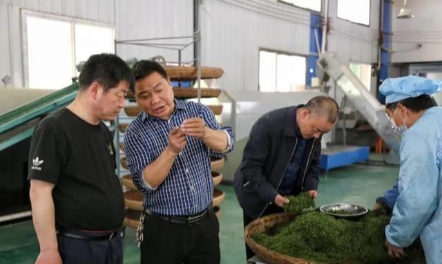 紫阳富硒茶评价(紫阳富硒茶品牌价值)-硒宝网