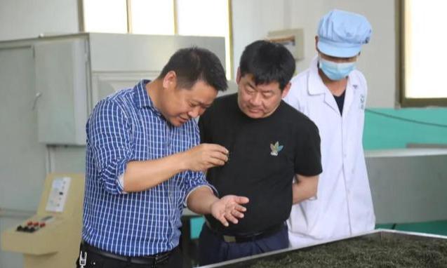 紫阳富硒茶评价(紫阳富硒茶品牌价值)-硒宝网