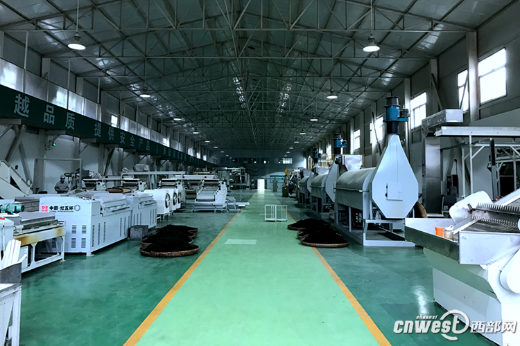 紫阳富硒茶评价(紫阳富硒茶叶)-硒宝网