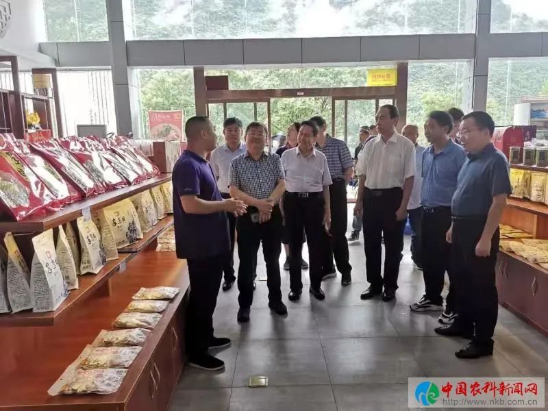 江苏富硒茶企业(江苏茶富硒企业排行榜)-硒宝网