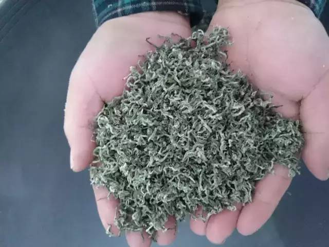 紫阳富硒茶北京(紫阳富硒茶园)-硒宝网