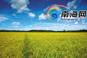 富硒茶检验报告(如何测定富硒茶叶中的硒)-硒宝网