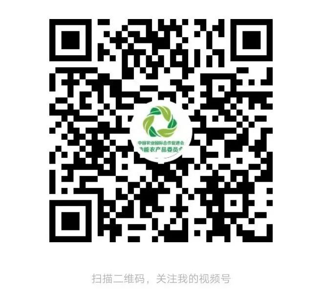 国外采购富硒茶(富硒茶国内外研究现状)-硒宝网