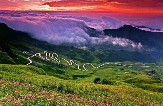 贵州高原富硒茶(贵州富硒茶多少钱一斤)-硒宝网