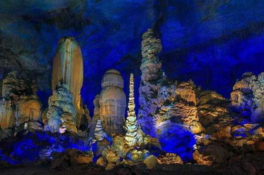 贵州高原富硒茶(贵州富硒茶多少钱一斤)-硒宝网