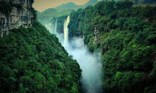 贵州高原富硒茶(贵州富硒茶多少钱一斤)-硒宝网