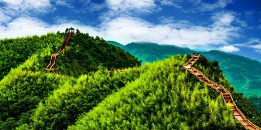 贵州高原富硒茶(贵州富硒茶多少钱一斤)-硒宝网