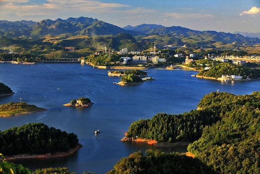 贵州高原富硒茶(贵州富硒茶多少钱一斤)-硒宝网