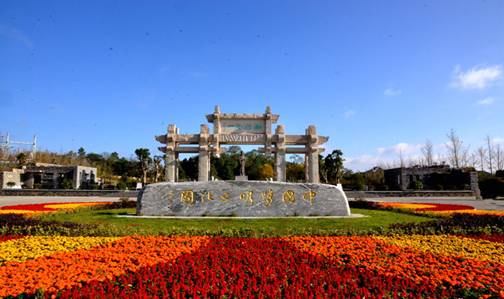 贵州高原富硒茶(贵州富硒茶多少钱一斤)-硒宝网