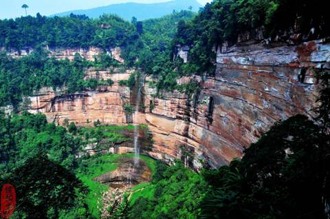 贵州高原富硒茶(贵州富硒茶多少钱一斤)-硒宝网