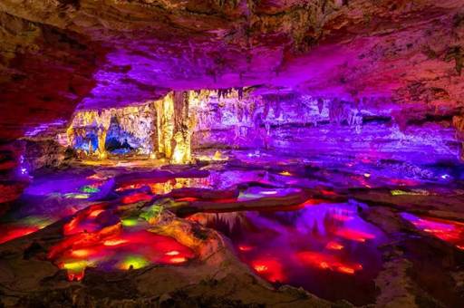 贵州高原富硒茶(贵州富硒茶多少钱一斤)-硒宝网