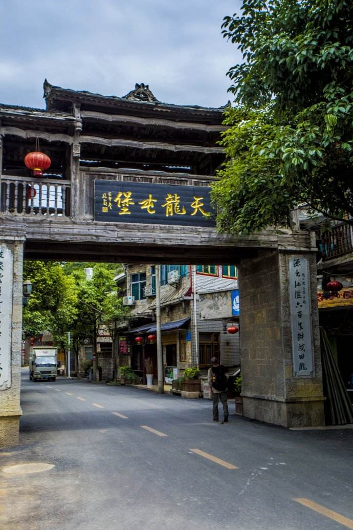 贵州高原富硒茶(贵州富硒茶多少钱一斤)-硒宝网