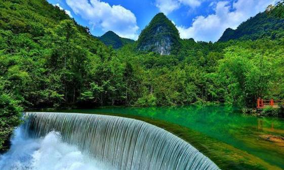 贵州高原富硒茶(贵州富硒茶多少钱一斤)-硒宝网