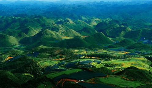贵州高原富硒茶(贵州富硒茶多少钱一斤)-硒宝网
