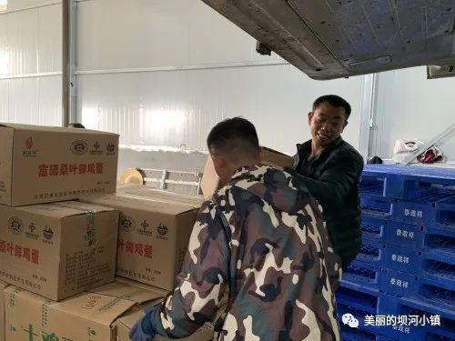 富硒蛋白桑叶茶(蛋白桑叶茶多少钱一斤)-硒宝网