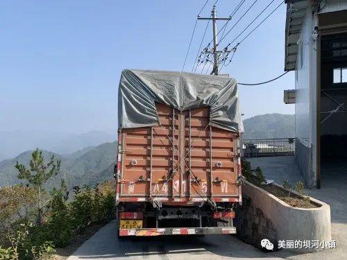 富硒蛋白桑叶茶(蛋白桑叶茶多少钱一斤)-硒宝网