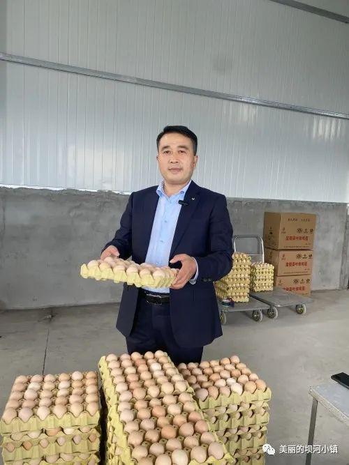 富硒蛋白桑叶茶(蛋白桑叶茶多少钱一斤)-硒宝网