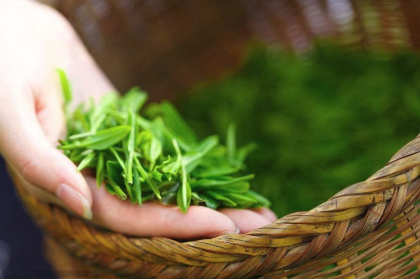 紫阳富硒茶珍藏（紫阳富硒茶100克价格表）-硒宝网