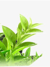 富硒茶怎么储存(富硒茶如何保存)-硒宝网